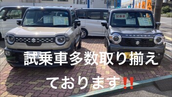 記録的な暑さ！！